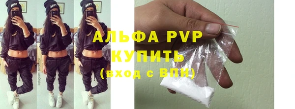 PSILOCYBIN Гусев