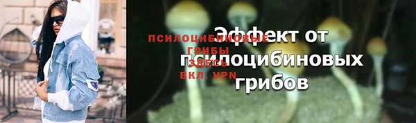 прущие крисы Гусь-Хрустальный